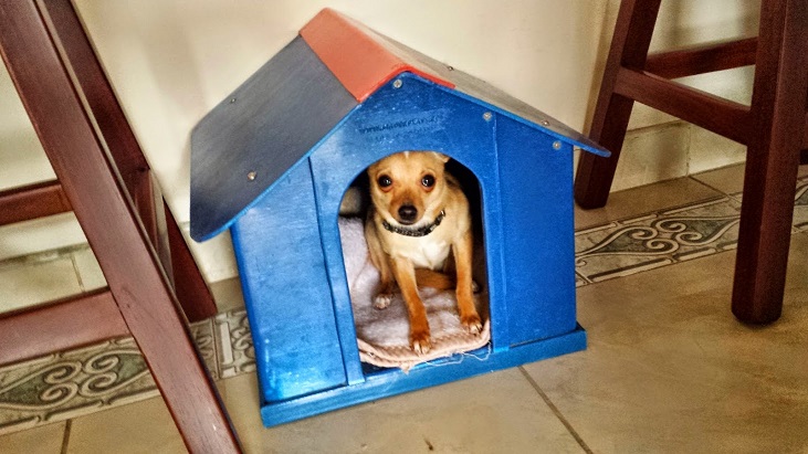 chiguagu 1 perreras maderplast en plástico fuertes criadero de perros las elementos para crianza de perros adiestramiento y cuidado de perros hotel para perros domesticar adiestrar amansar criar perros chiguagu 1 perreras maderplast en plástico fuertes criadero de perros las elementos para crianza de perros adiestramiento y cuidado de perros hotel para perros domesticar adiestrar amansar criar perros